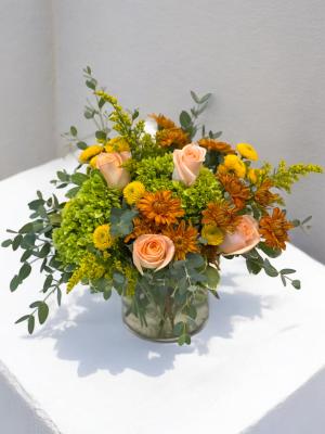 Tiptoe Into Fall